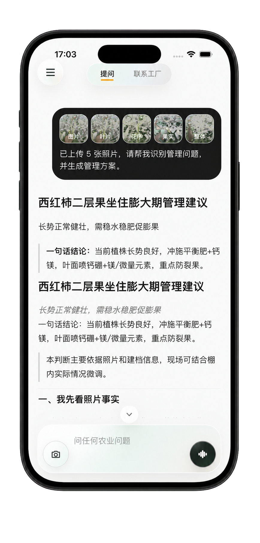 识叶 AI 真实管理方案界面